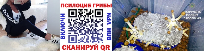 Галлюциногенные грибы мухоморы Асбест